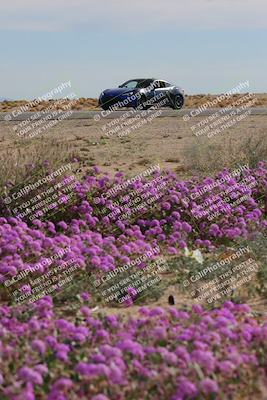 media/Jan-08-2023-SCCA SD (Sun) [[8f6a5b9391]]/Advanced Group/Session 2 (Short Straight)/